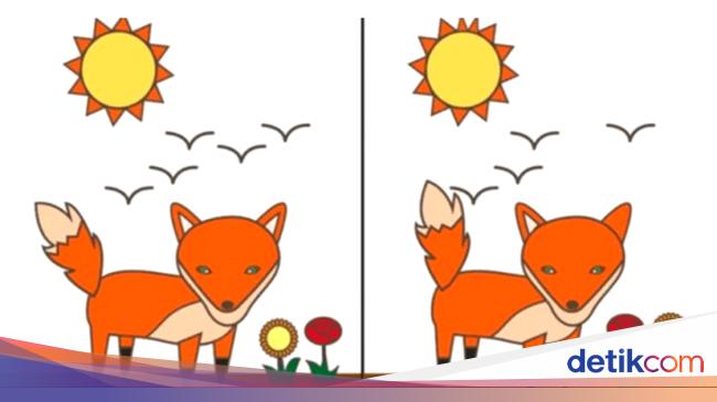 Tes Psikologi: Perbedaan Apa yang Pertama Kamu Temukan di ...