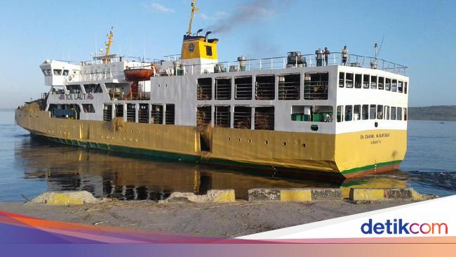 Subsea Lintas Globalindo-Kemenhub Distribusikan Ternak ke Penjuru RI