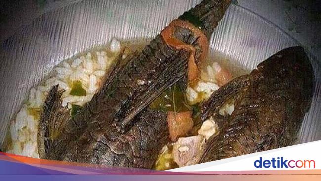 Netizen Pamer Makan Ikan Sapu Sapu Apa Aman Dikonsumsi Netizen Pamer Makan Ikan Sapu Sapu Apa Aman Dikonsumsi