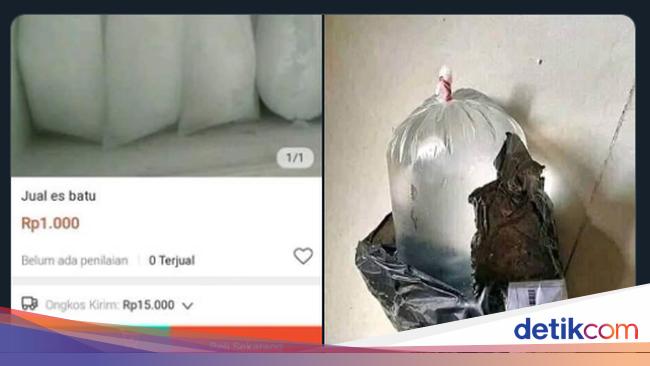 Viral Es Batu Dijual Online Netizen Kurirnya Harus Elsa Frozen