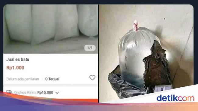 Viral Es Batu Dijual Online Netizen Kurirnya Harus Elsa Frozen