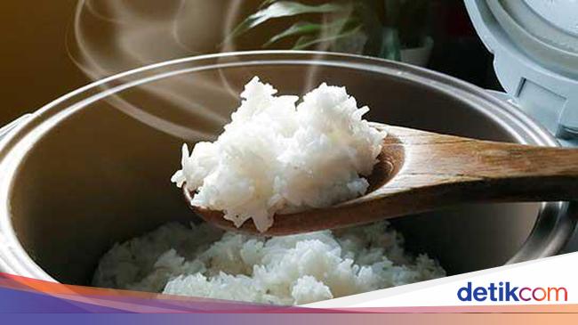 Apa Benar Diet Tanpa Nasi Seperti Juwita Bahar Bisa Sebabkan Koma?