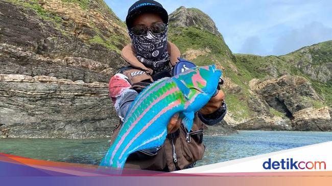Ikan Avatar Dengan Warna Warni Terang Ini Bisa Dimakan Lho