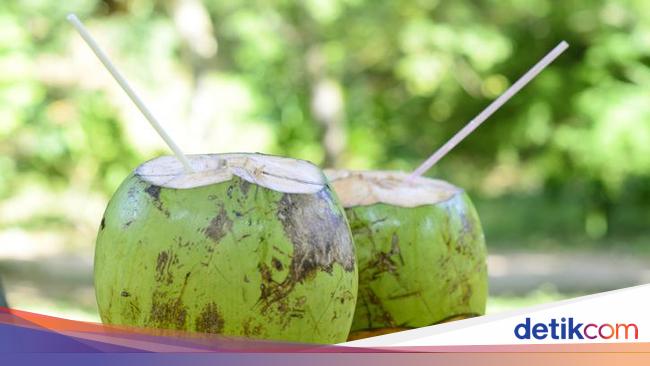 9 Manfaat Air Kelapa Muda Minuman Rendah Kalori Yang Bikin Awet Muda 9 Manfaat Air Kelapa Muda Minuman Rendah Kalori Yang Bikin Awet Muda