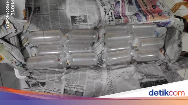 Beda Sikap Massa Ini Sebut Larangan Ekspor Lobster Rugikan Negara