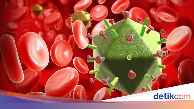 Vaksin Hiv Aids Yang Efektif Melindungi Tidak Akan Ada Vaksin Hiv Aids Yang Efektif Melindungi Tidak Akan Ada