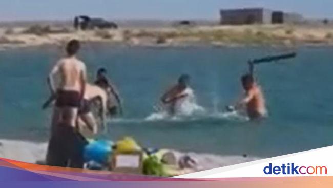 Anjing Laut Dipukuli Sampai Pingsan Biar Turis Bisa Foto Anjing Laut Dipukuli Sampai Pingsan Biar Turis Bisa Foto