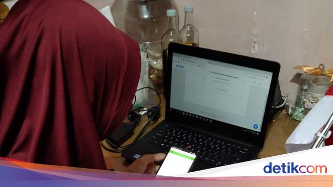 Ini Proses Pertumbuhan Pada Tanaman Paku yang Berkembang Ini Proses Pertumbuhan Pada Tanaman Paku yang Berkembang