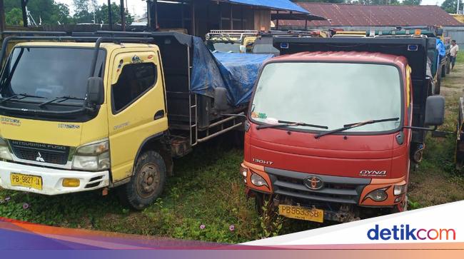 KLHK Amankan 8 Truk  Kayu  Merbau Ilegal  di Sorong