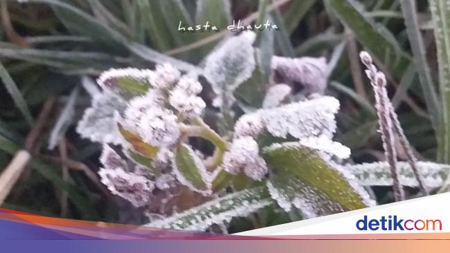 Brrr Dieng Kembali Beku Suhu Minus 3 Derajat Pagi Ini