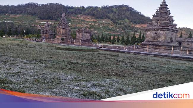 Dieng Membeku Kemarin Hari Ini Embun Es Menghilang