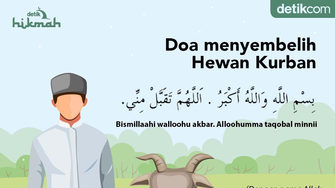 Doa Menyembelih Hewan Qurban – Newstempo