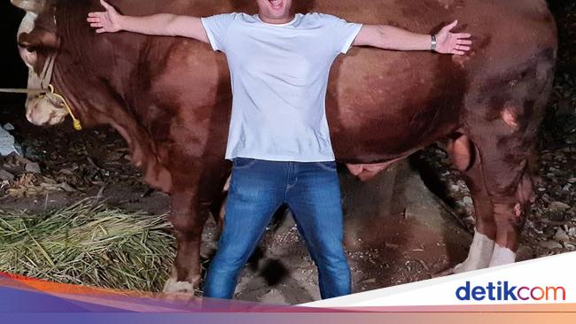 Cerita Irfan Hakim Dapat Sapi 1 Ton dan Domba Garut Gratis untuk Kurban