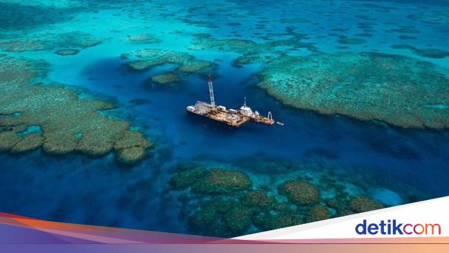 British Tourists Die Swimming