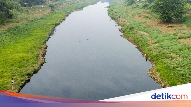 Ekosistem Pengertian Jenis Dan Komponennya Lengkap