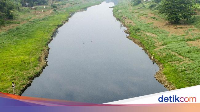 Contoh Macam Macam Ekosistem Dan Unsur Pembentuknya