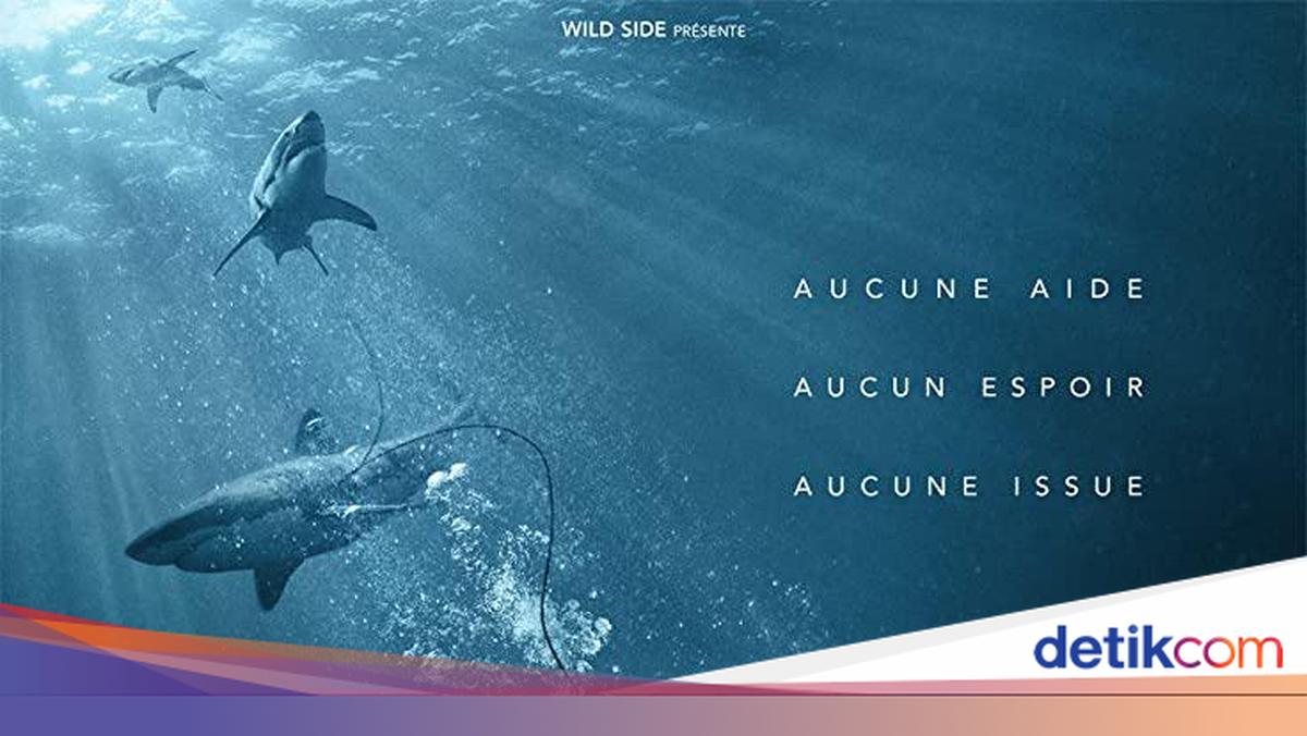 Sinopsis Film 47 Meters Down, Perjuangan Hidup dari Kepungan Hiu