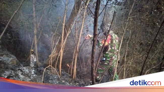 15 Hektare Lahan di  Gunung  Ciremai  Kuningan Hangus Terbakar