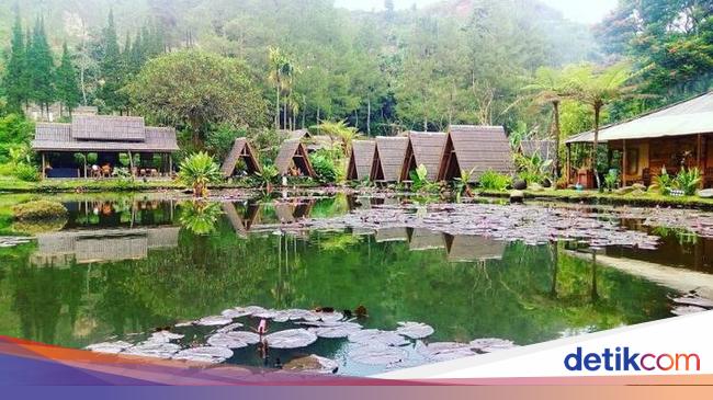 Sedep Pisan Makan Bareng Keluarga di 5 Resto Konsep Alam  