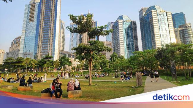 Cara ke Hutan Kota GBK: Jam Buka dan Fasilitasnya