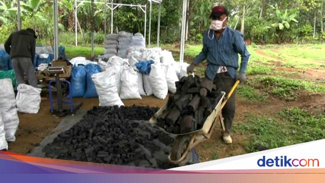 Corona Merajalela Produksi Arang Tak Goyah