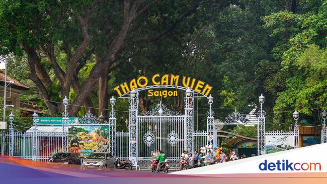 Kebun Binatang Vietnam Krisis Pegawai Kerja Serabutan Kebun Binatang Vietnam Krisis Pegawai Kerja Serabutan