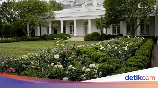 Foto Before After Taman Gedung Putih Buatan Melania Trump Netizen Nyinyir