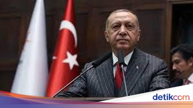 seruan-erdogan-boikot-produk-prancis-renault-jadi-merek-mobil-laris-di-turki