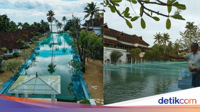 Pandemi Corona Resort Mewah Ubah Kolam  Renang  Jadi Kolam  Ikan