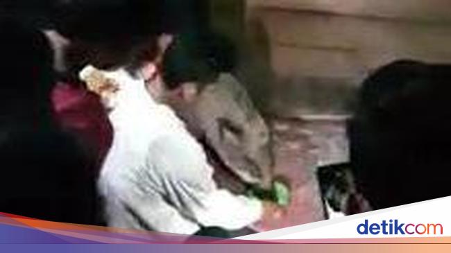 Geger Babi Hutan Di Sumsel Nangis Saat Diusir Ada Warga Sebut Babi Ngepet Geger Babi Hutan Di Sumsel Nangis Saat Diusir Ada Warga Sebut Babi Ngepet