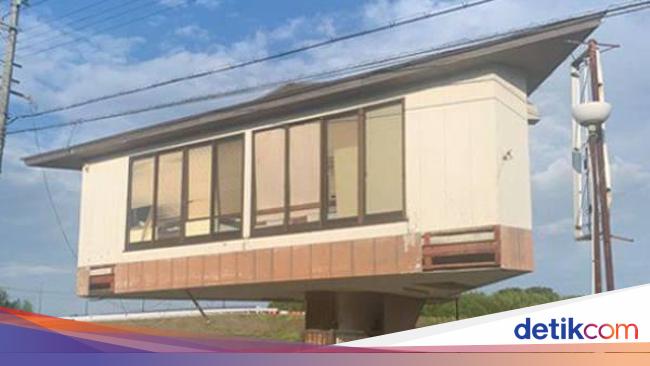 Potret Rumah Jamur Viral Bikin Melongo Dibangun Di Atas Tangga Kecil