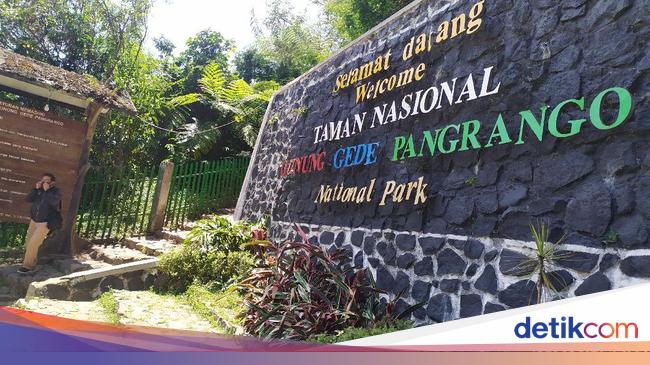 Gunung Gede Pangrango Buka Gerbang Pendakian Lagi 12 Desember