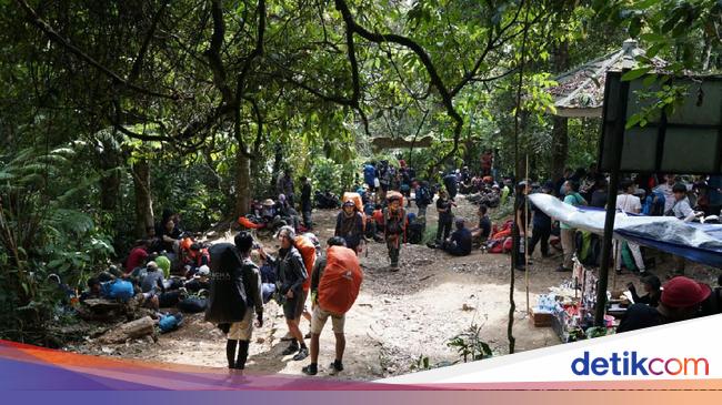 Sempat Ramai Pendaki, Ini Isi Surat Penutupan Gunung Gede ...