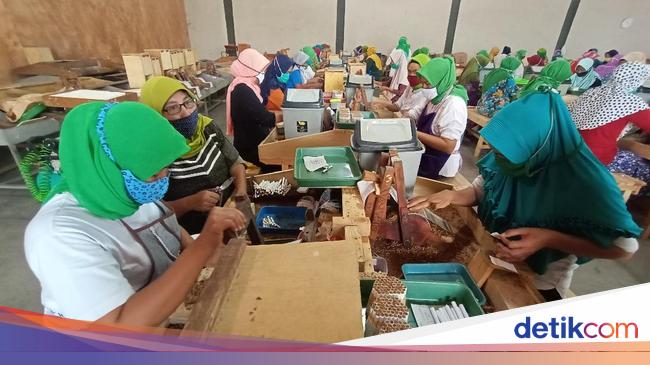 Industri Kretek Disebut Dikepung Banyak Regulasi
