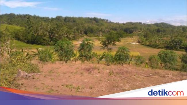 Bernama Jabatan Pertanian Bantu Kurangkan Tanah Terbiar