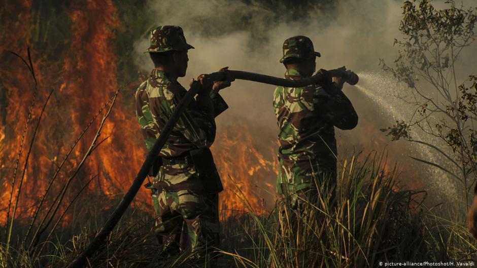 RUU Cipta Kerja Hapus Pasal 'Sakti' Penjerat Pembakar Hutan