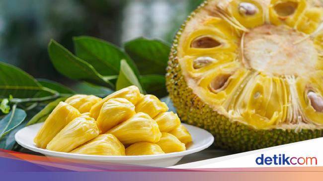 7 Manfaat Buah Nangka Yang Jarang Diketahui