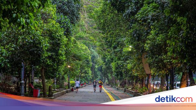 Wanita Jadi Korban Copet Saat Olahraga di Jalur SSA Kebun Raya Bogor