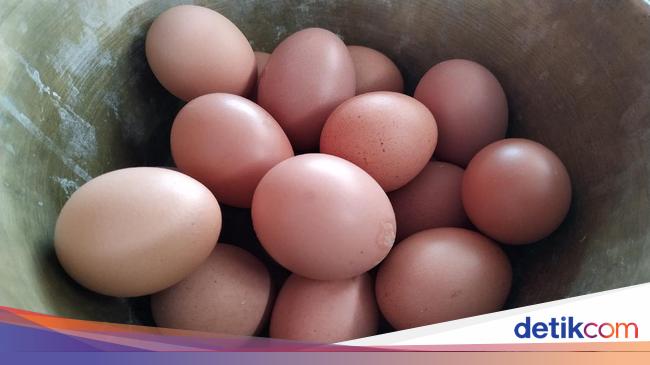 Harga Turun Telur Grade A Malah Langka