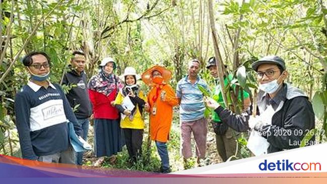 Petani di  Sumatera Utara Kembali Kembangkan Vanili  Lokal