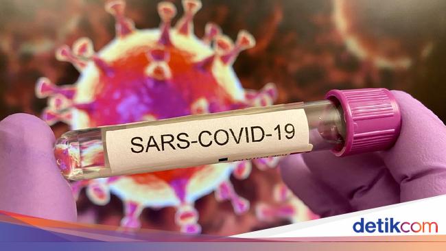 Berapa Lama Virus Corona Bertahan Hidup di Benda Mati Ini Berapa Lama Virus Corona Bertahan Hidup di Benda Mati Ini
