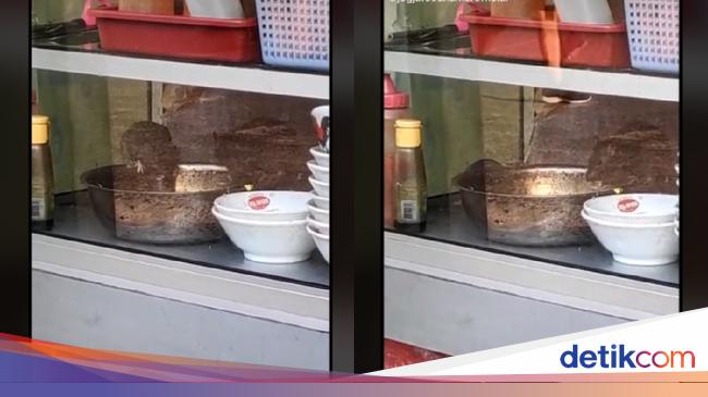 Hiii Netizen Ini Pergoki Dua Ekor Tikus Asyik Makan di 