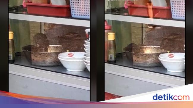 Hiii Netizen Ini Pergoki Dua Ekor Tikus Asyik Makan di Hiii Netizen Ini Pergoki Dua Ekor Tikus Asyik Makan di