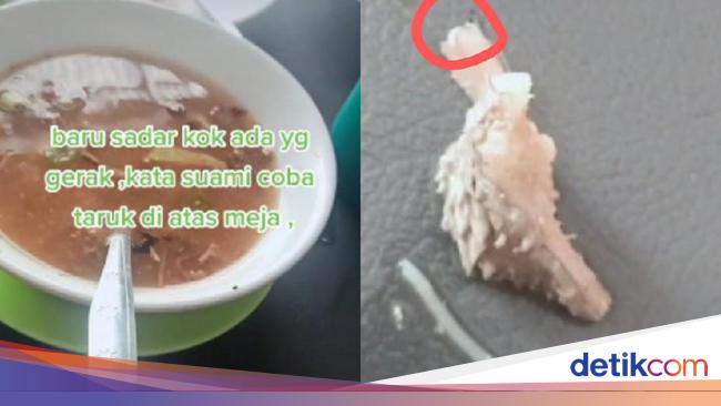 Viral Kecoa Hidup Di J Co Tikus Hingga Ulat Pernah Ditemukan Di