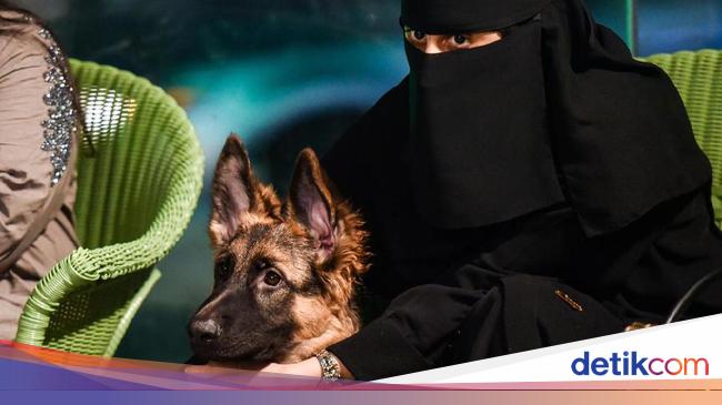 Not only bikini beaches, Saudi Arabia also has dog cafes