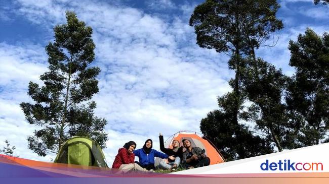 Serunya Camping di  Gunung  Merbabu  Via Selo