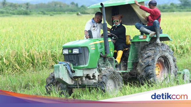 Mentan Cek Potensi Pertanian di Pulau Buru Produksi 8 Ton Mentan Cek Potensi Pertanian di Pulau Buru Produksi 8 Ton