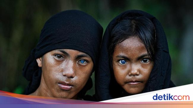 34 Provinsi Rumah Adat Pakaian Adat Tarian Tradisional Senjata Tradisional Lagu Daerah Suku Dan Julukan Di Indonesia Pakaian Tari Tarian Gambar Tarian