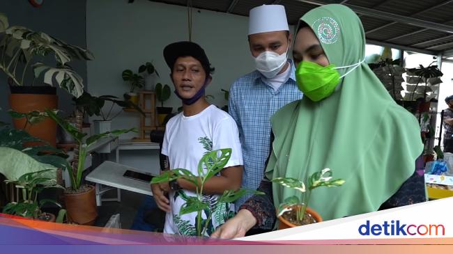 Janda Bolong Rp 110 Juta Kartika Putri Mau Bawa Kabur Janda Bolong Rp 110 Juta Kartika Putri Mau Bawa Kabur