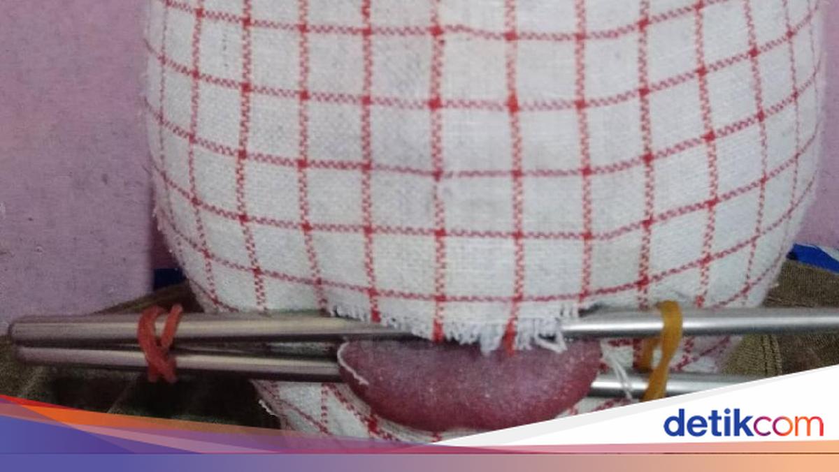 Tukli mushuklar va katta labiyali buvilar ishtirokidagi porno tomosha qiling